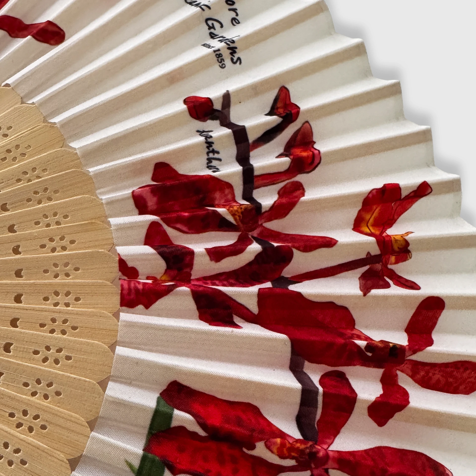 Abanicos personalizados baratos - Vista 2